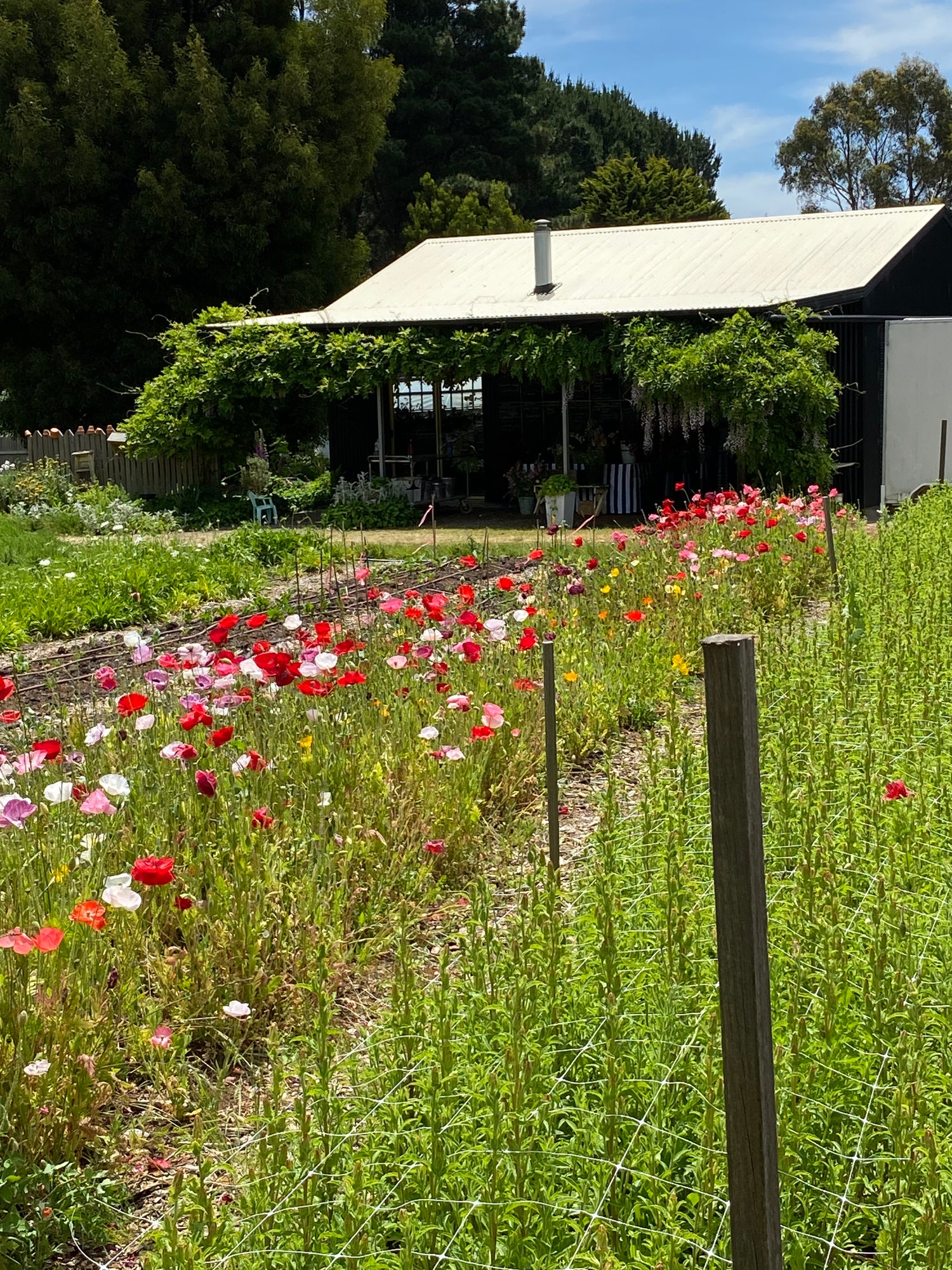 Our Sustainability commitments – Ardrie Park Floral Studio